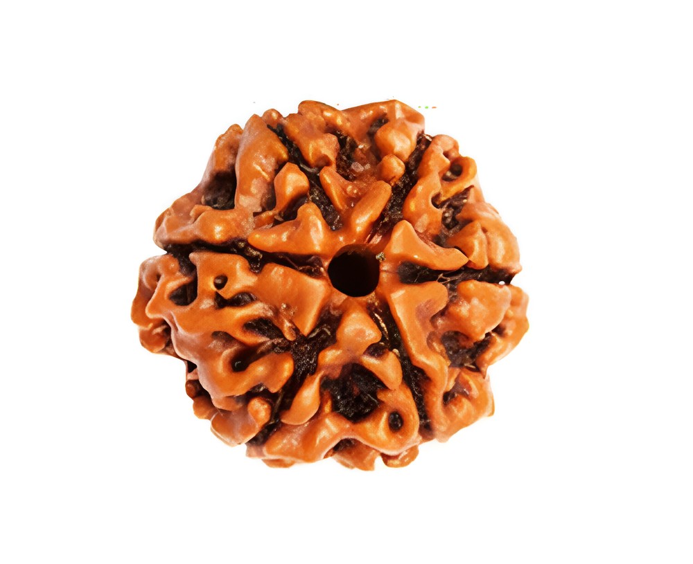 Rudraksha-Product-Images_06~2