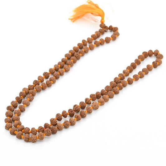 10 mukhi Rudraksh mala