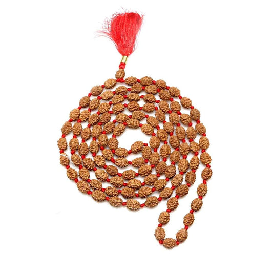 4 mukhi rudraksha mala