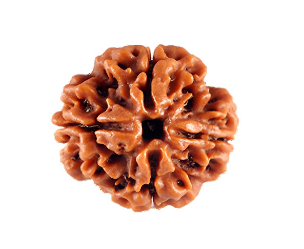 4 mukhi nepali