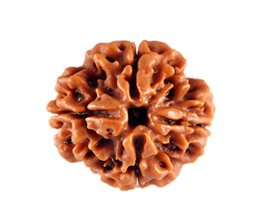 4 mukhi nepali