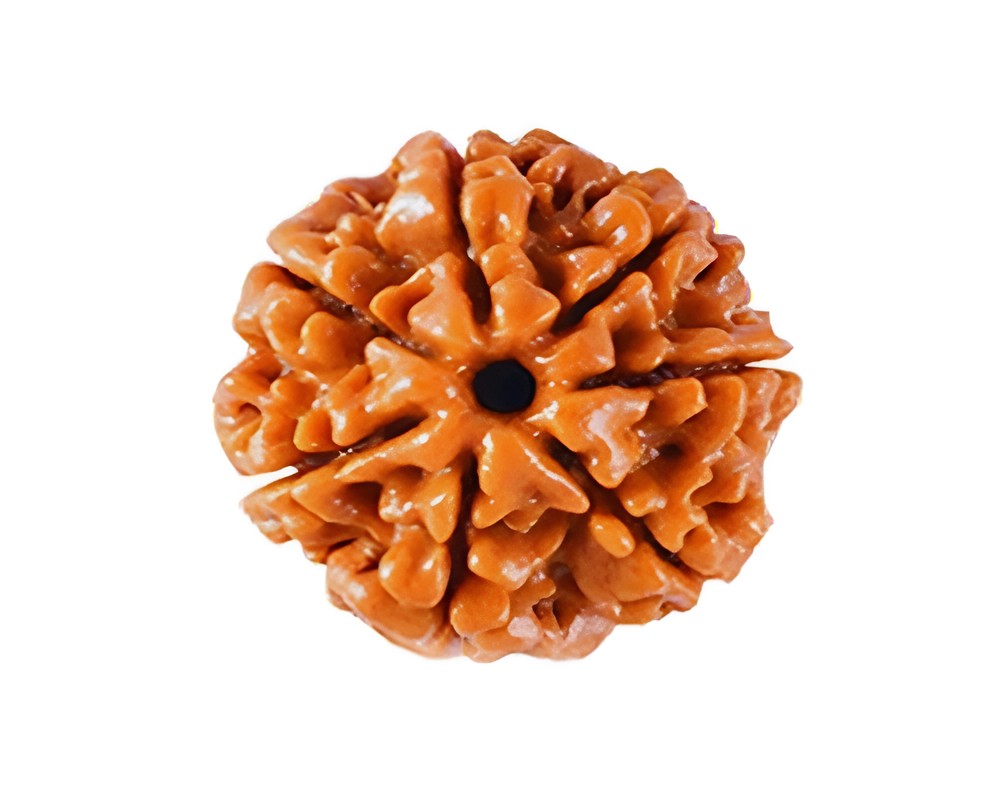 Rudraksha-Product-Images_07~2