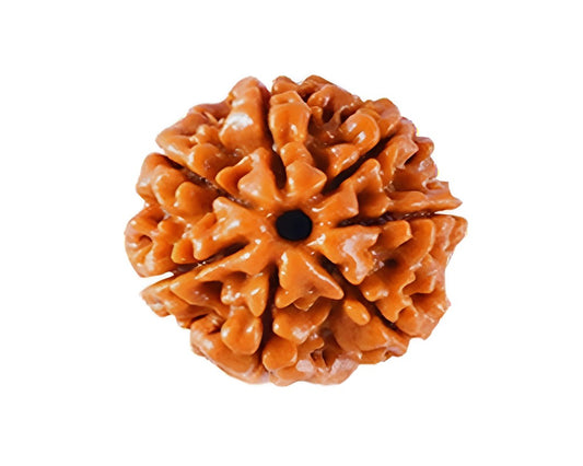 Rudraksha-Product-Images_07~2