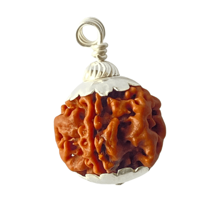 1 Mukhi Rudraksha