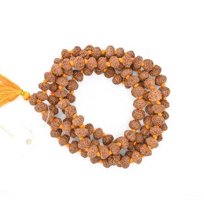 10 mukhi Rudraksh mala