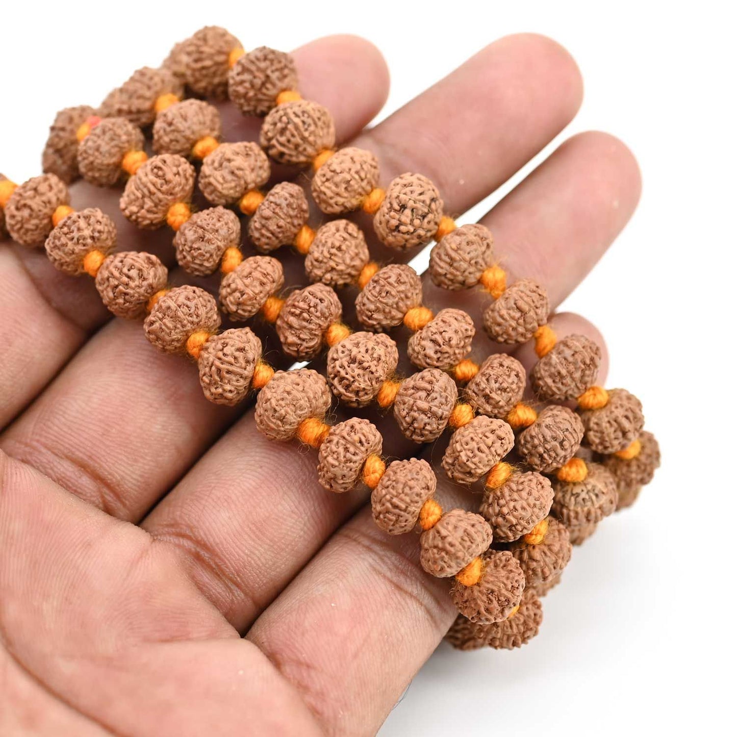 10 mukhi Rudraksh mala