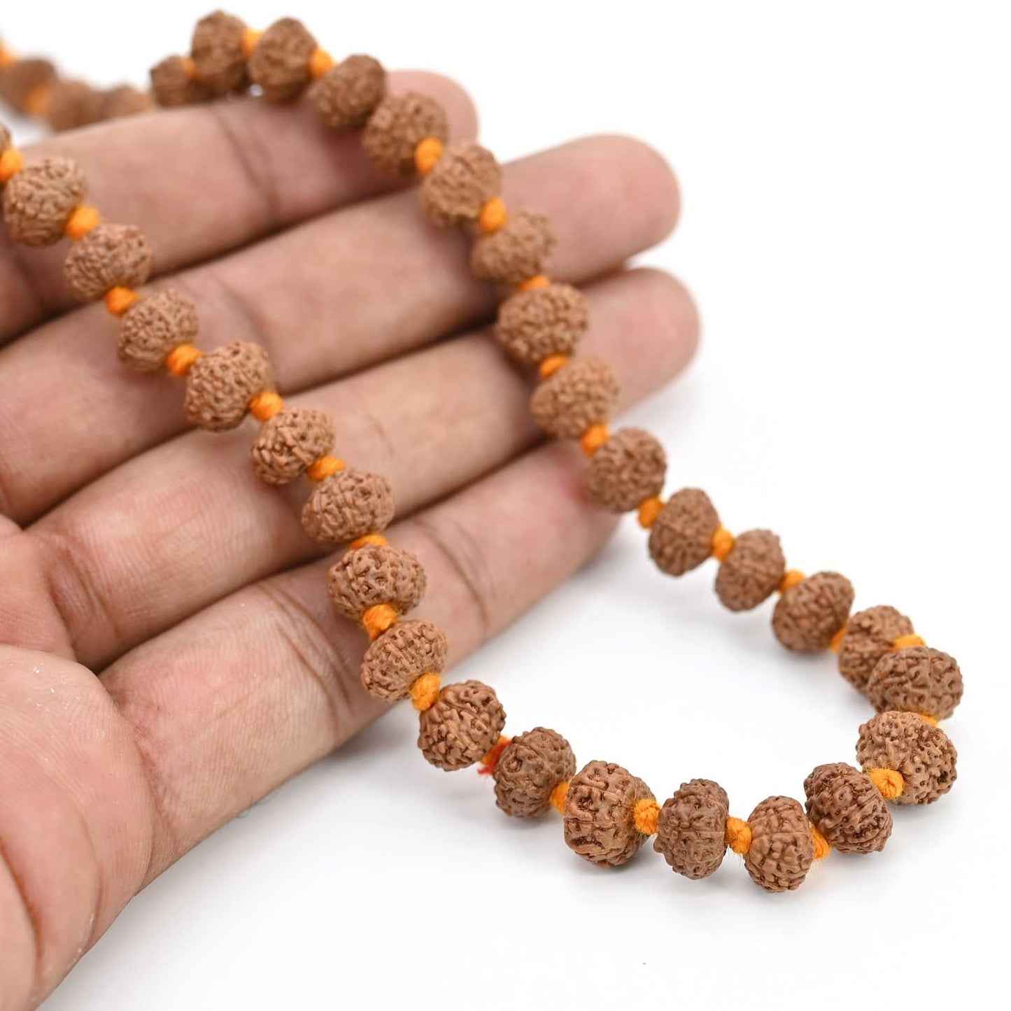 10 mukhi Rudraksh mala