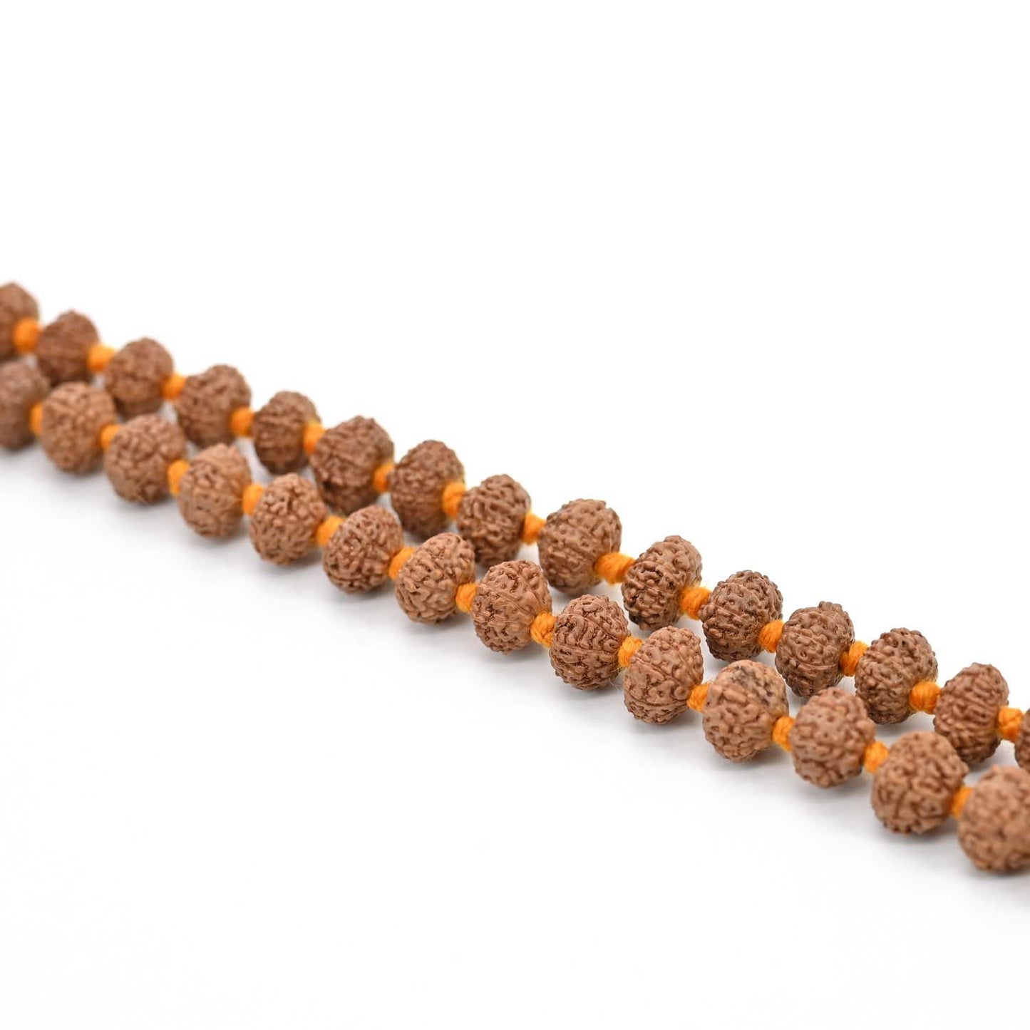 10 mukhi Rudraksh mala