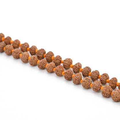 10 mukhi Rudraksh mala