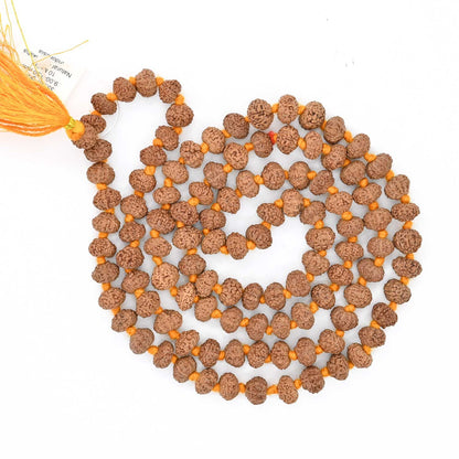 10 mukhi Rudraksh mala