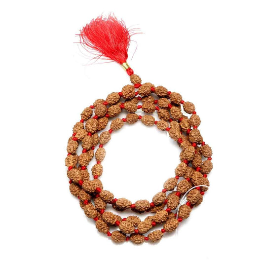4 mukhi rudraksha mala