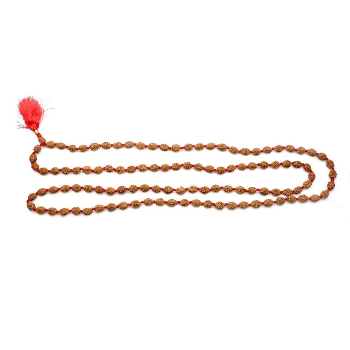 4 mukhi rudraksha mala