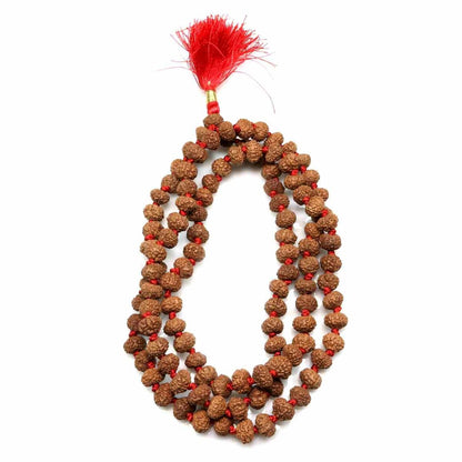 7 Mukhi rudraksha mala
