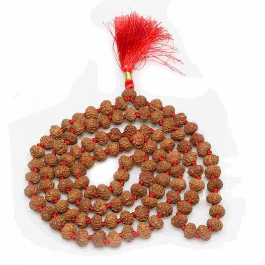 7 Mukhi rudraksha mala