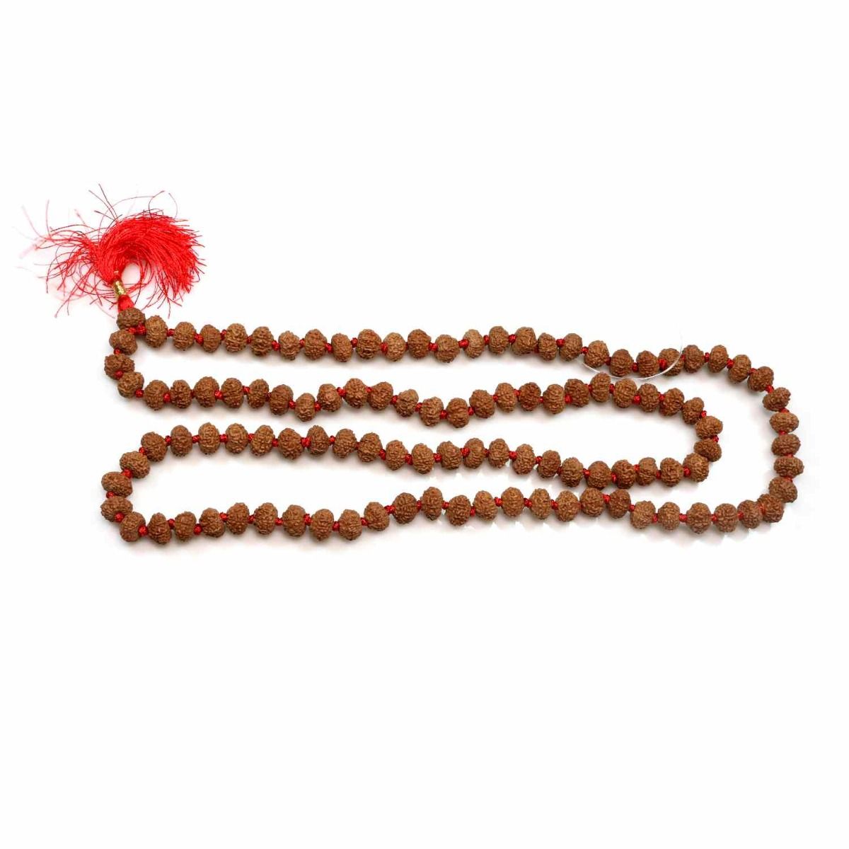8 Mukhi mala