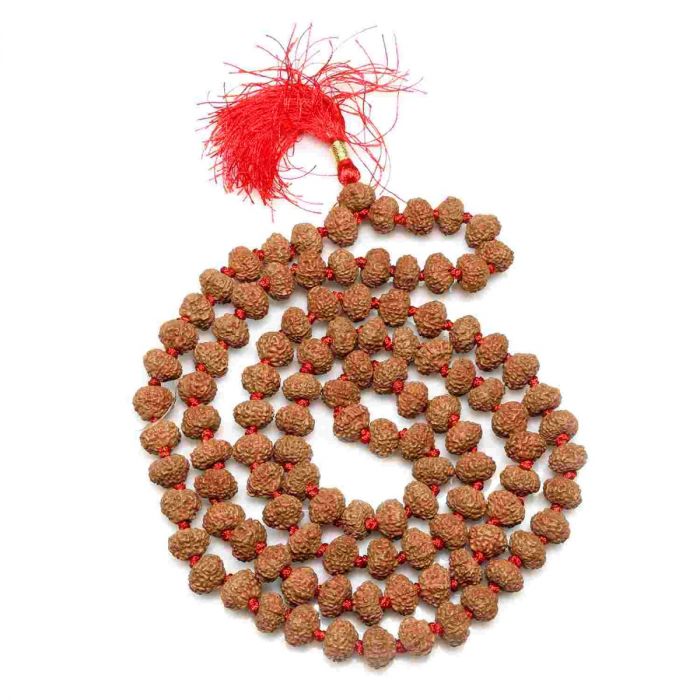 8 Mukhi mala