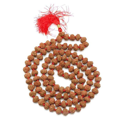 8 Mukhi mala
