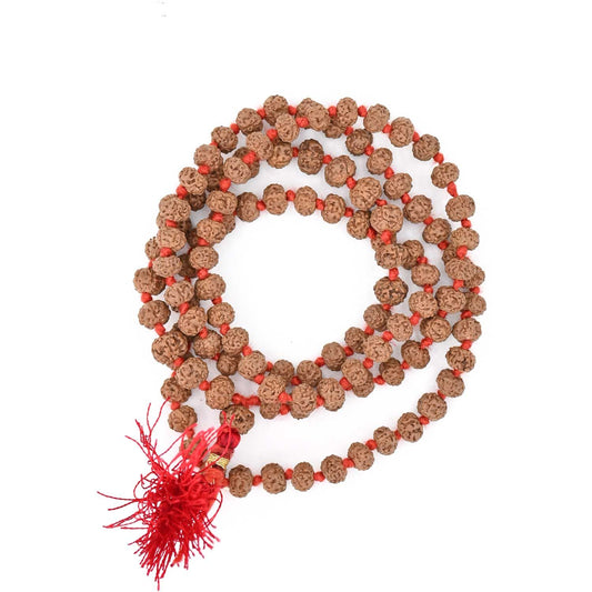 5 mukhi rudraksha mala
